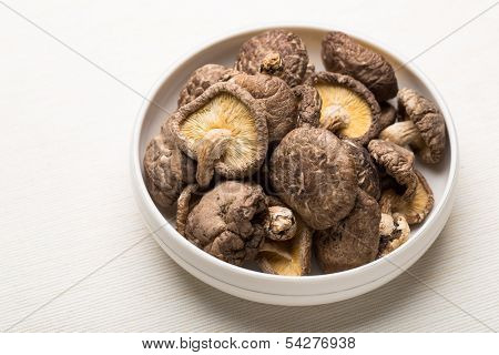 Dried mushroom