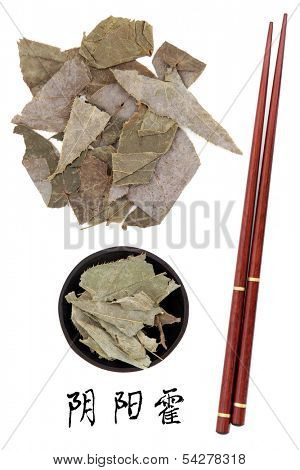 Epimedium used in traditional chinese herbal medicine with mandarin title script translation and chopsticks. Yin yang huo.