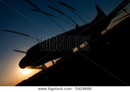 Sunset Plane Low