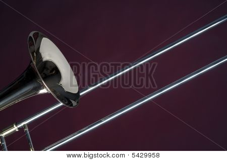 Puzon blisko na czerwonym tle