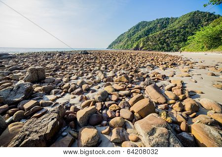 beach and tropical sea