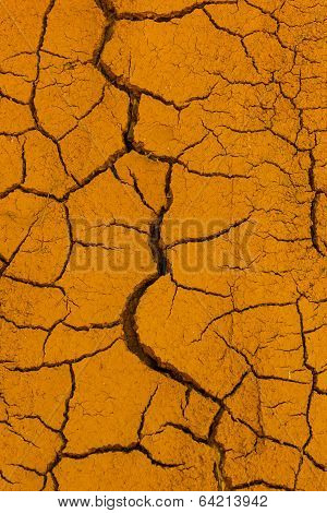 Cracked Ground
