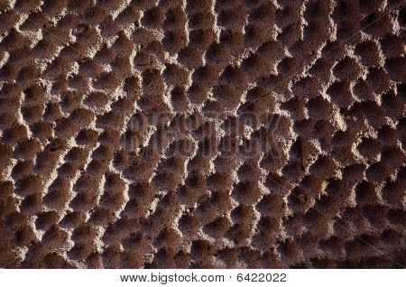 textura