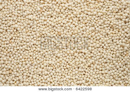 Couscouse Closeup