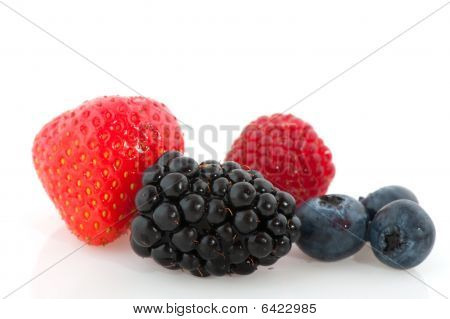 Fruit Diversity Close