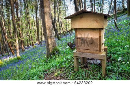 Woodland Beehive