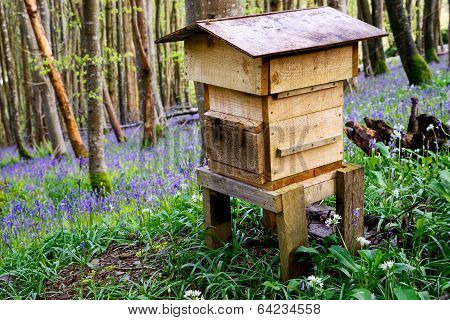 Wooden Beehive