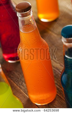 Assorted Organic Craft Orange Soda