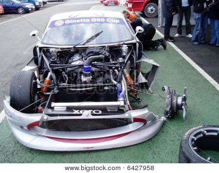 Gebrochene Ginetta 1