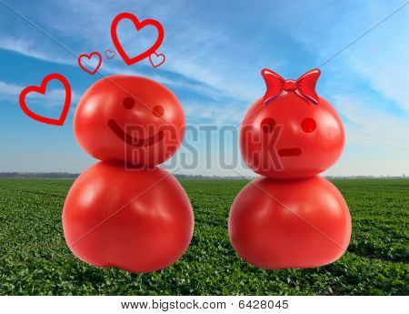Tomatoes In Love