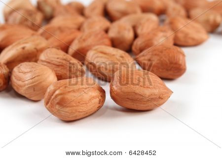 Hazel Nuts Closeup