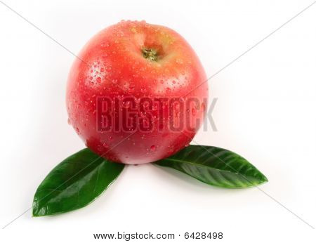 Apple Isolated