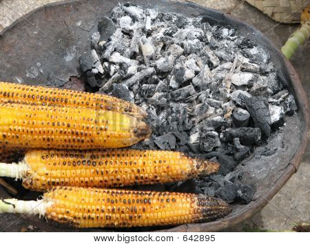 Gegrillter Mais