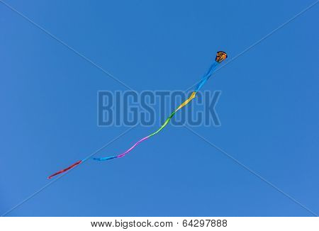Flying Kite