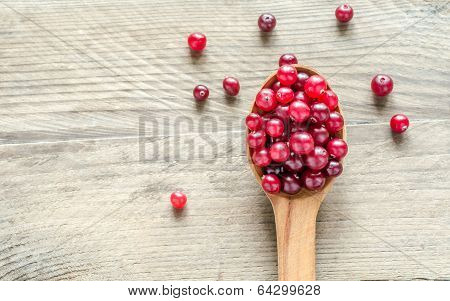 Fresh Cranberries