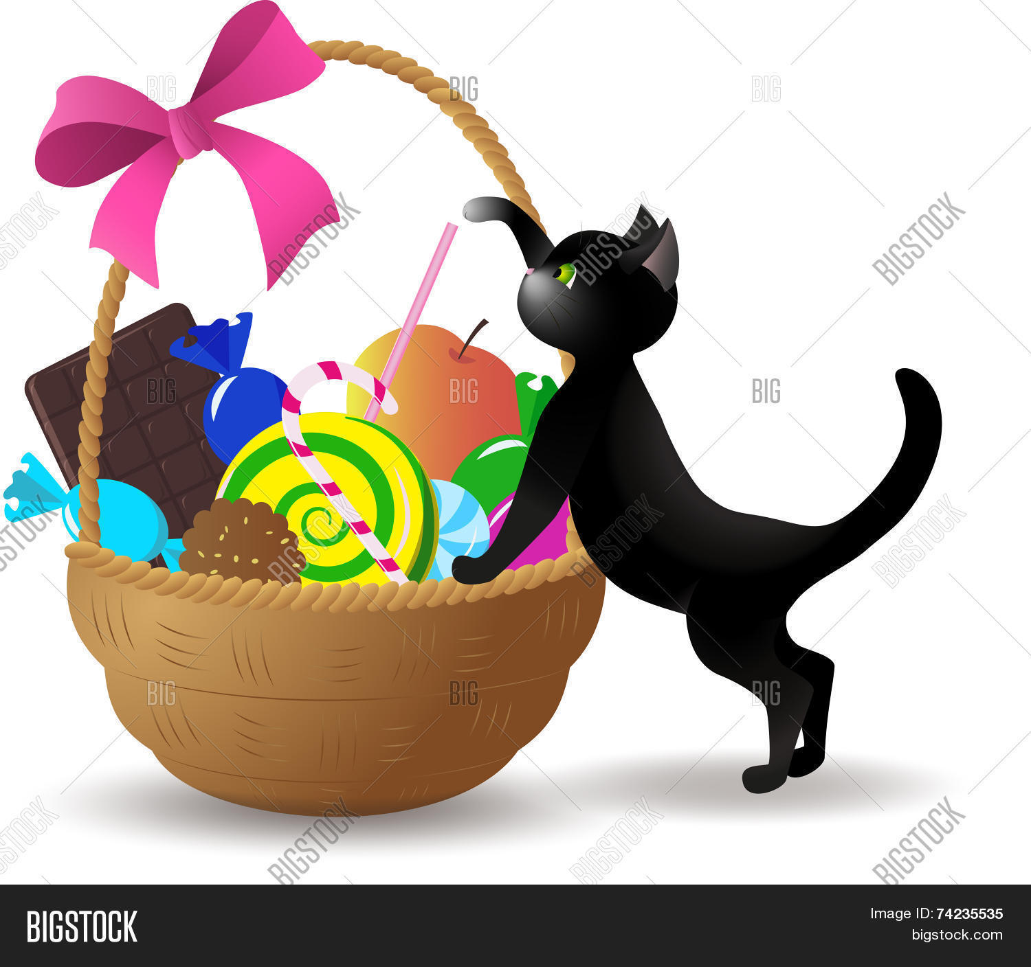 kitten gift basket