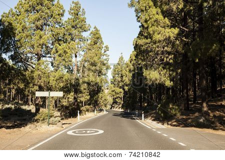 Forest way