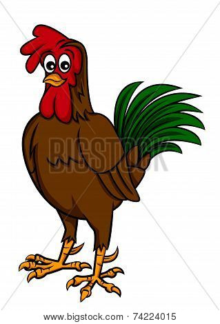 rooster