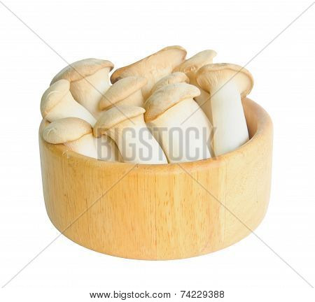 King Oyster Mushrooms (pleurotus Eryngi).
