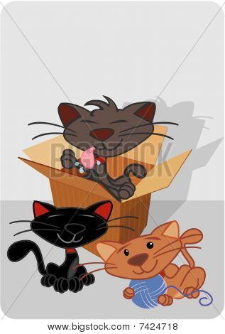 gatos para la venta