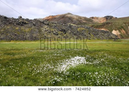 Iceland