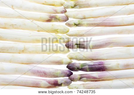 Wall Made Of White Asparagus Spears.