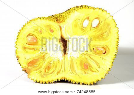 Jackfruit Isolated On White Background