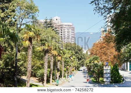 People On Palm Alley In Primorskiy Park In Yalta