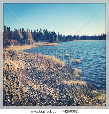 Beautiful pond with instagram effect 