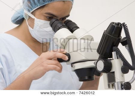 No microscópio