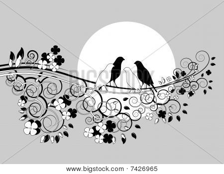 几只鸟的树枝上