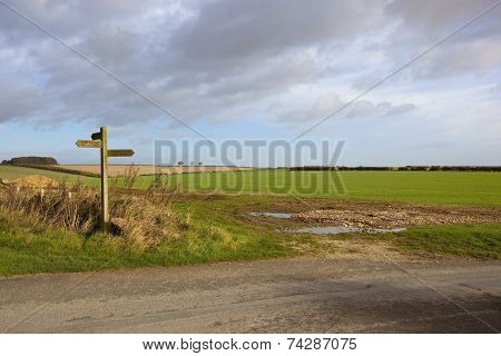 Yorkshire Wolds Bridleway