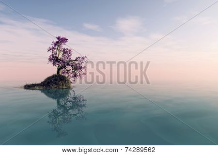 A lonely tree