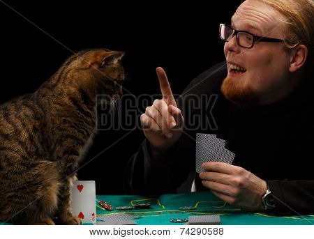 Poker Cat