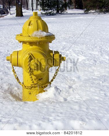 Yellow Fire Hydrant in Snow