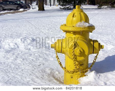 Yellow Fire Hydrant in Snow
