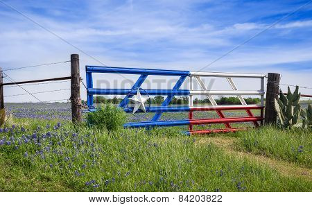 Texas Bluebonnets Along A Fence In Spring
