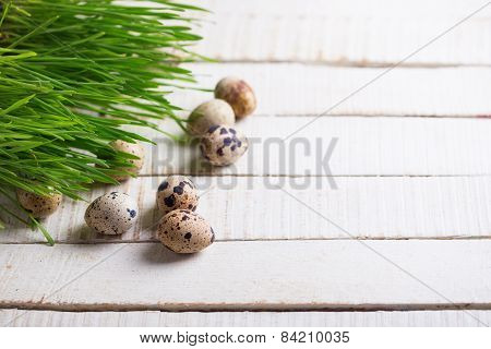 Grass And Eggs