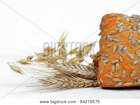 Whole wheat bread