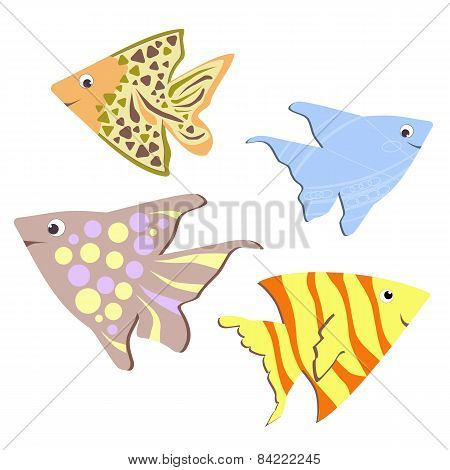 Color Fish Design