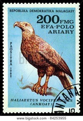 Vintage  Postage Stamp. Bird Haliaeetus Vociferoides.