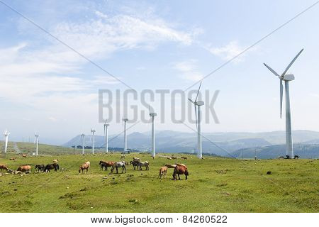 Wind Turbines On A Wind Farm In Galicia, Spain