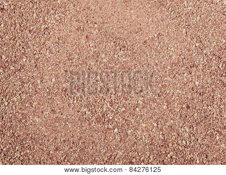 Cat Litter