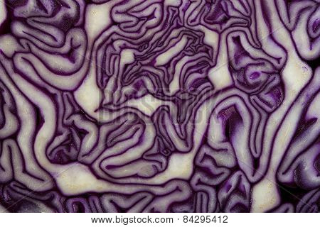 red cabbage