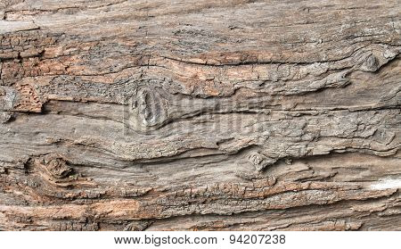 wood texture