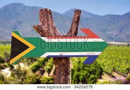 South Africa Flag wooden sign with vineyard background