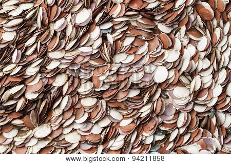 Seashells As Background,