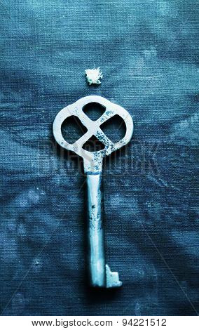 The silver key with white flower