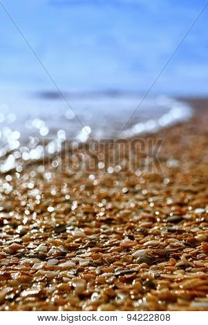 Sunny Sea Shore