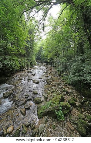 Stream With Fresh Water In The Middle Of The Woods In Spring
